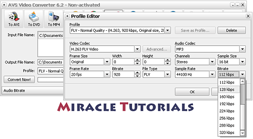 AVS converter interface