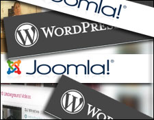 wordpress or joomla